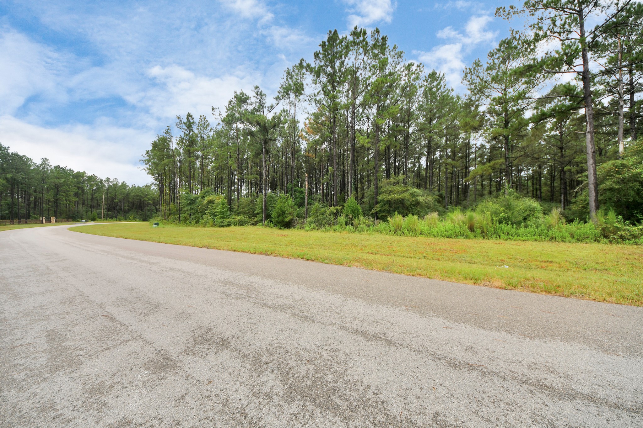 10940 Ruger Road Willis, TX 77378 - Photo 8 of 30