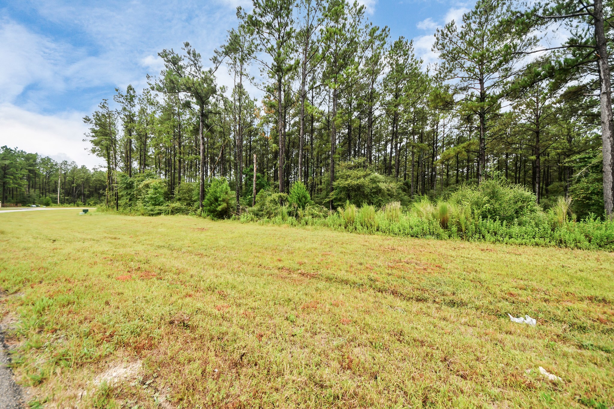 10940 Ruger Road Willis, TX 77378 - Photo 9 of 30 a view of a field with trees in the background