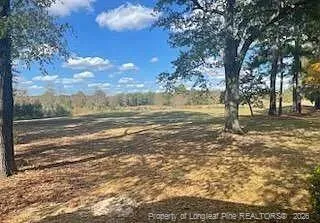 a living room with a fireplace and a rug