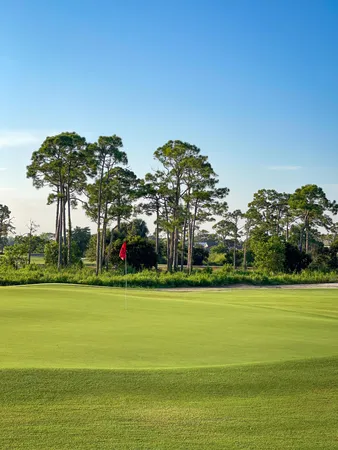 a view of a chairs and table in patio
