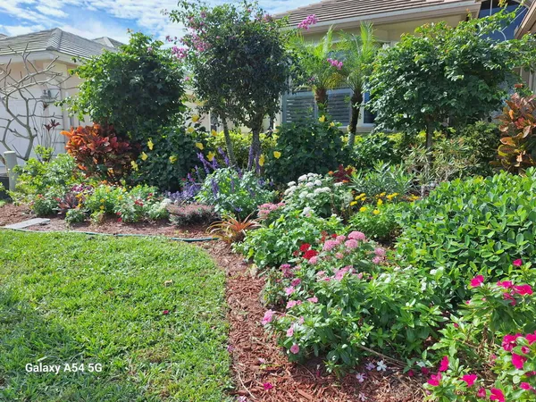 a view of a garden with plants and flowers