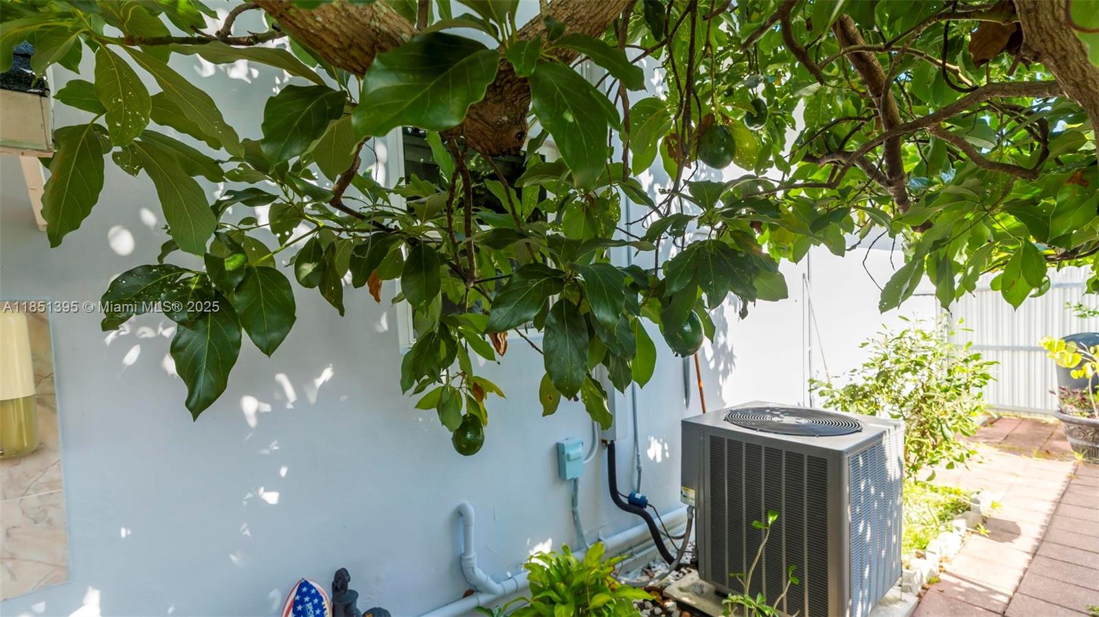 8711 Southwest 191st Street Cutler Bay, FL 33157 - Photo 55 of 56 a picture of plants