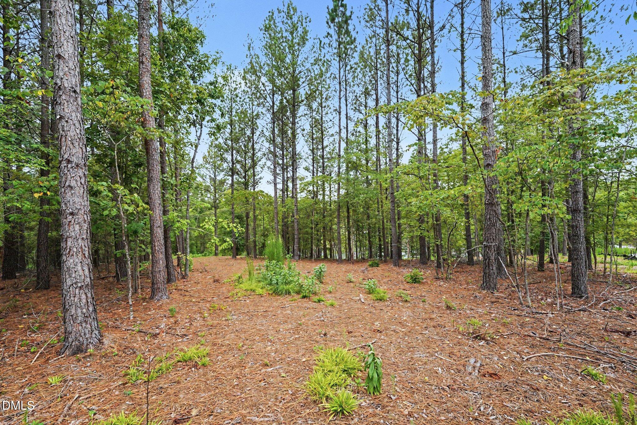 116 Windsail Point Semora, NC 27343 - Photo 8 of 19 002_dsc05175_824