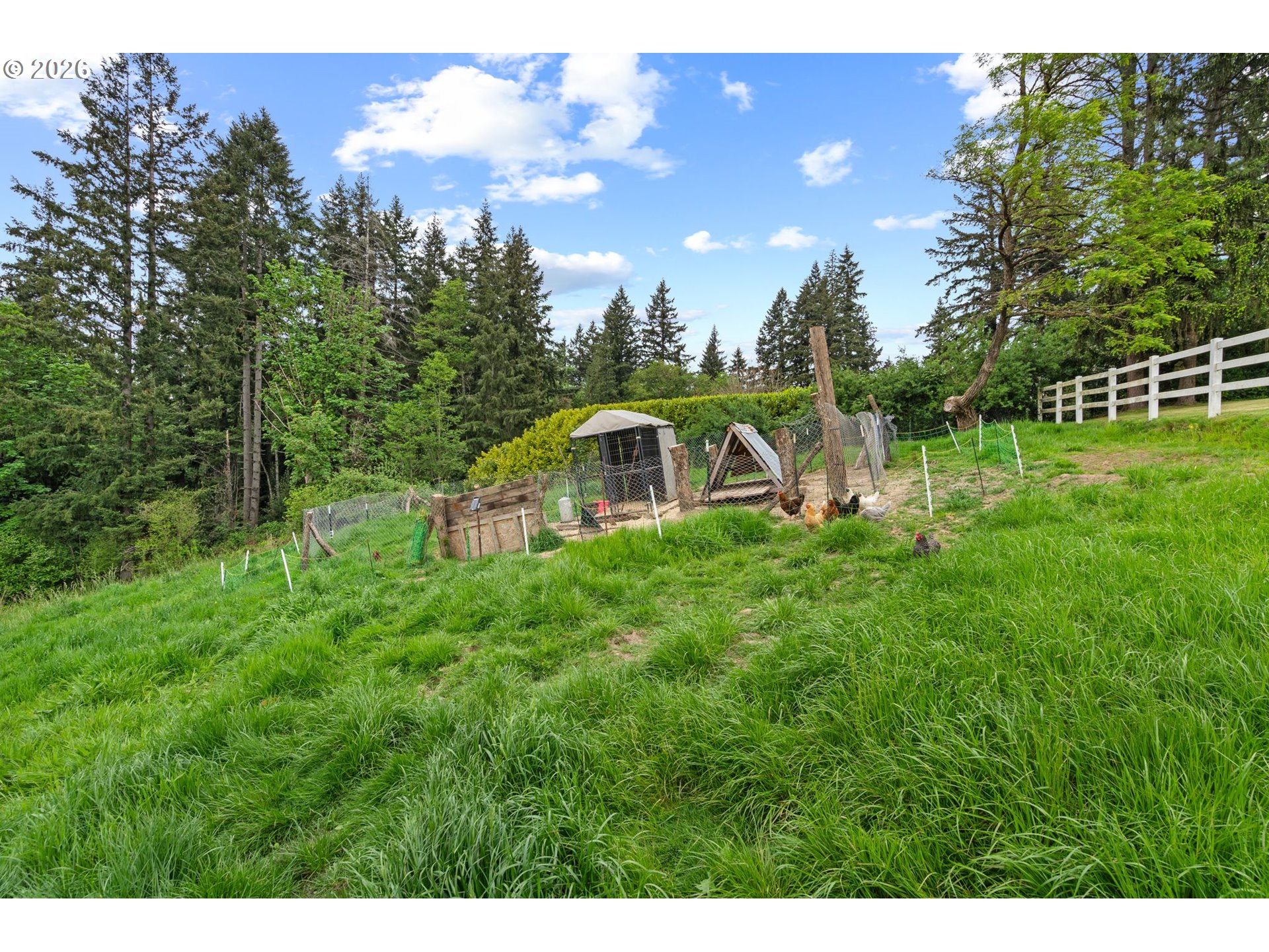 507 Williams Finney Road Kelso, WA 98626 - Photo 46 of 48