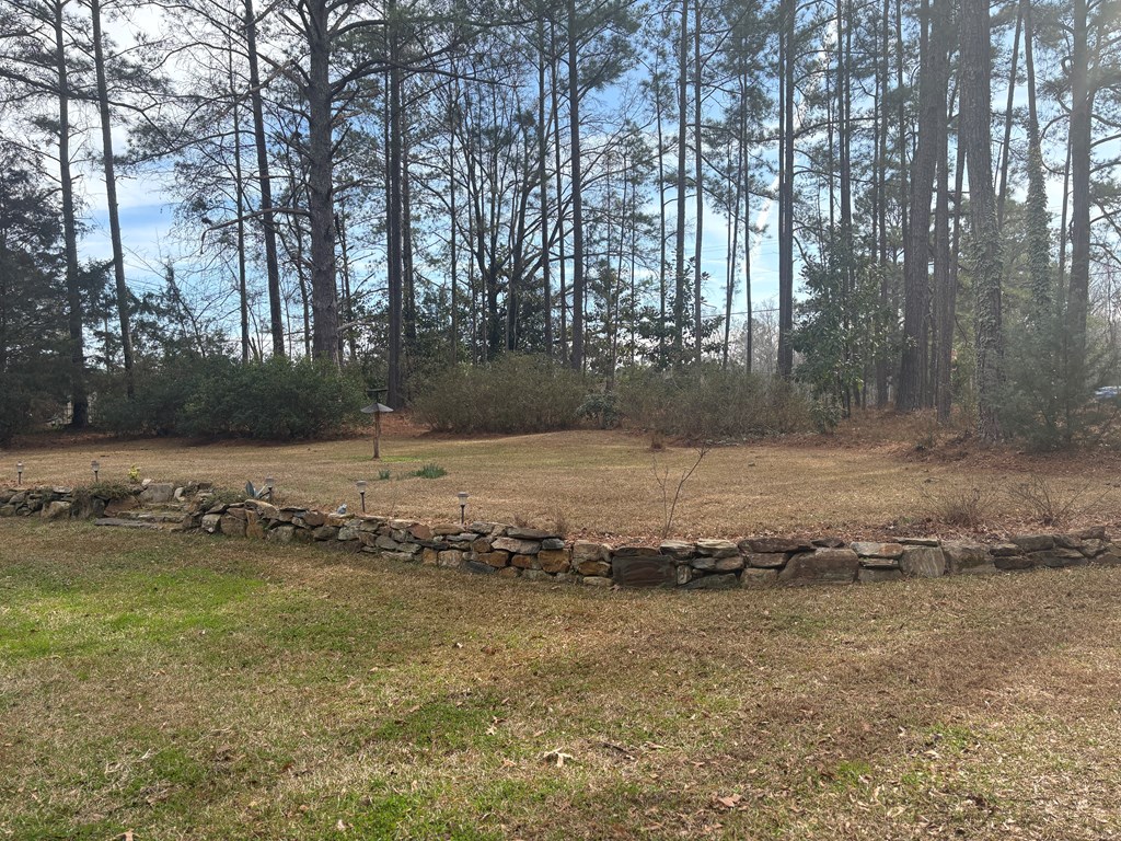 799 Cannon Road Fortson, GA 31808 - Photo 43 of 45 Gallery Image 43