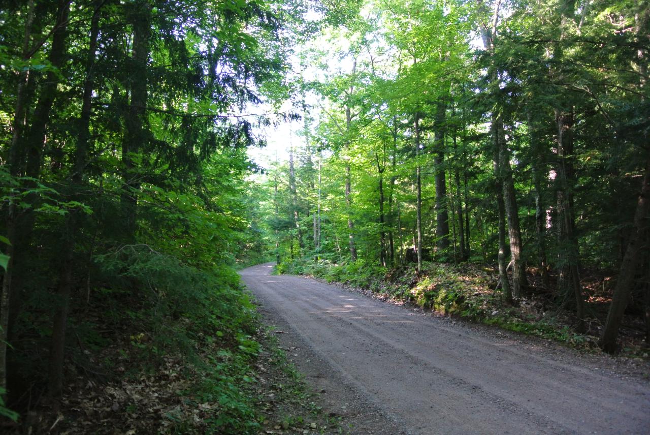 On West Clear Lake Road Lac du Flambeau, WI 54538 - Photo 8 of 23 Gallery Image 8