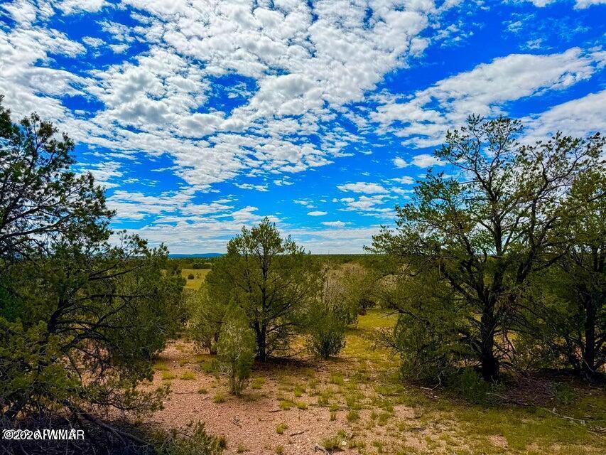 0 Dusty Rose Ranch Road Seligman, AZ 86337 - Photo 14 of 20 Gallery Image 14