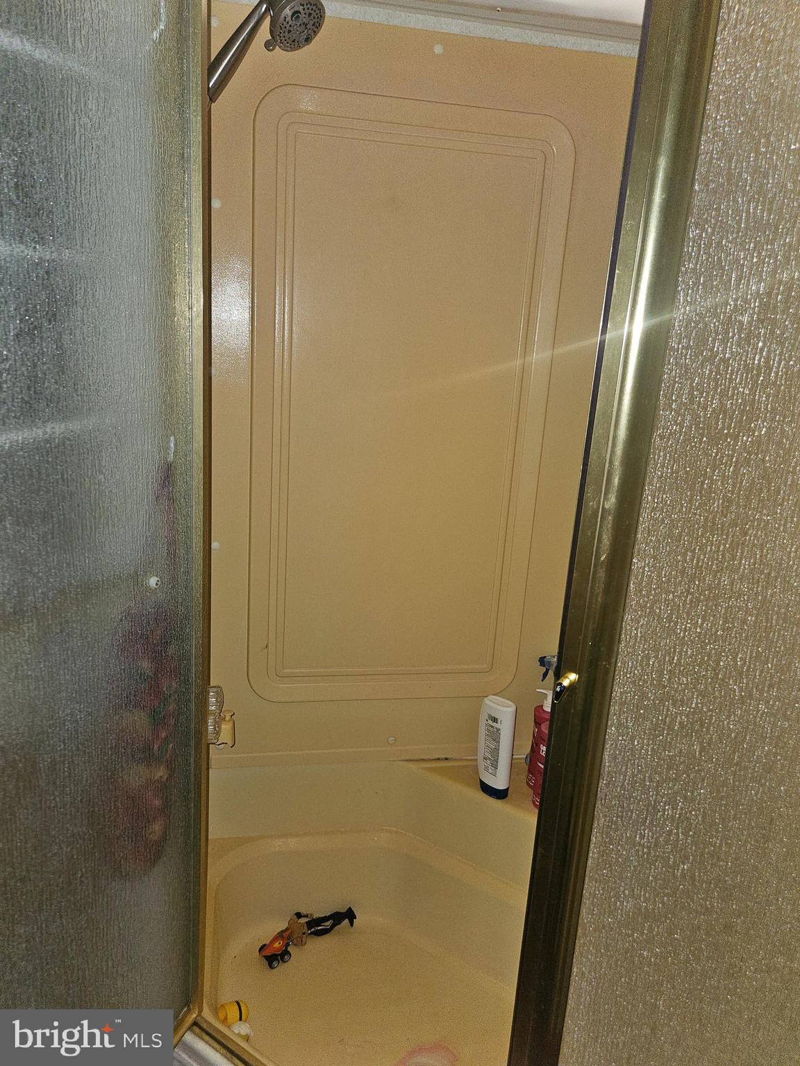 17 Hot Springs Road Falling Waters, WV 25419 - Photo 13 of 15 a bathroom with a shower