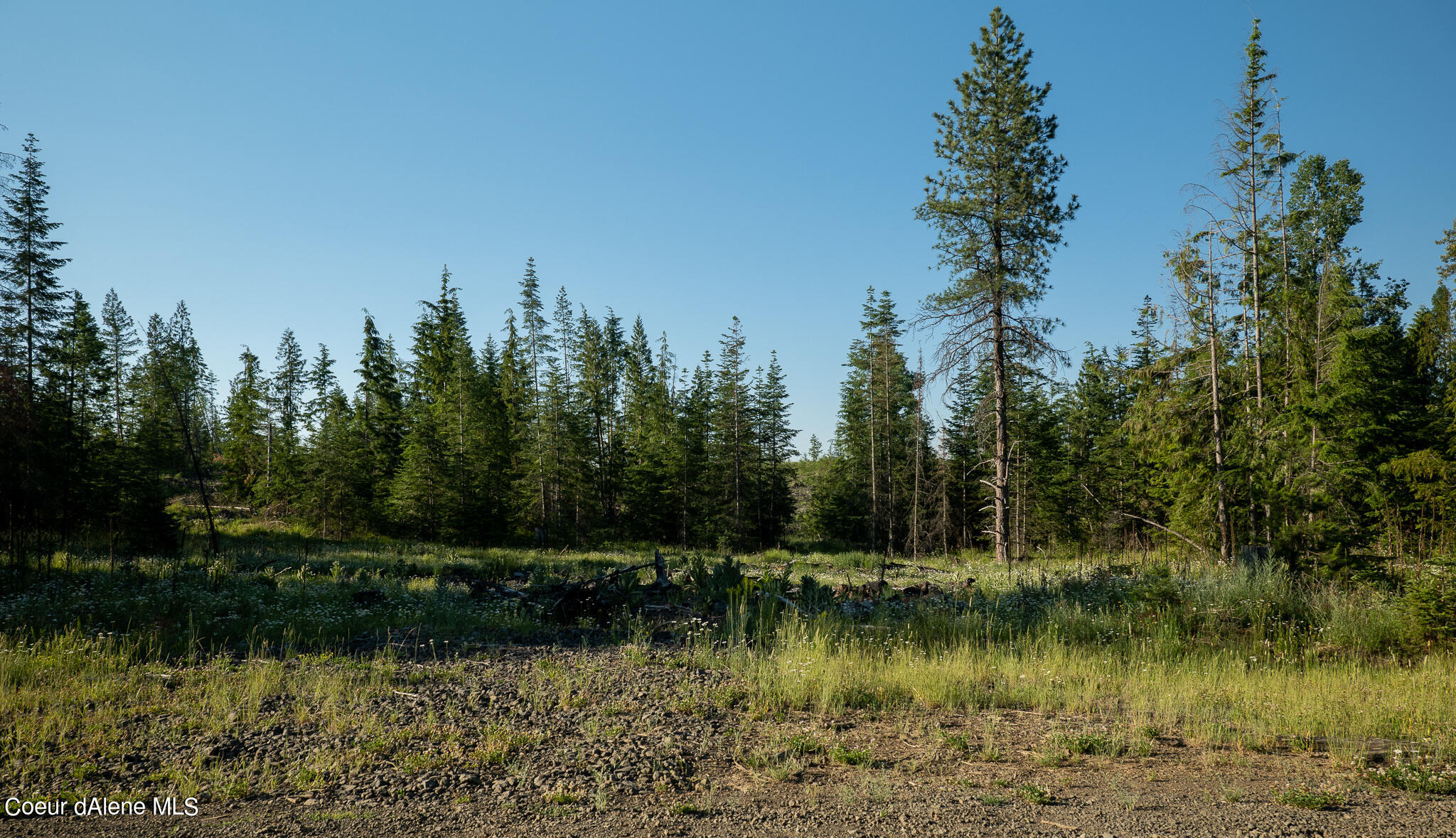 Lot 7 Sportsman Rd Street St. Maries, ID 83861 - Photo 1 of 1 Front View