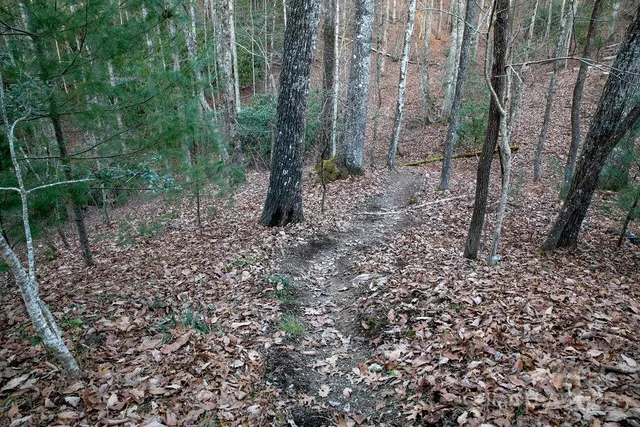 $655,000 | 116 Wahuhu Court, Brevard, NC 28712