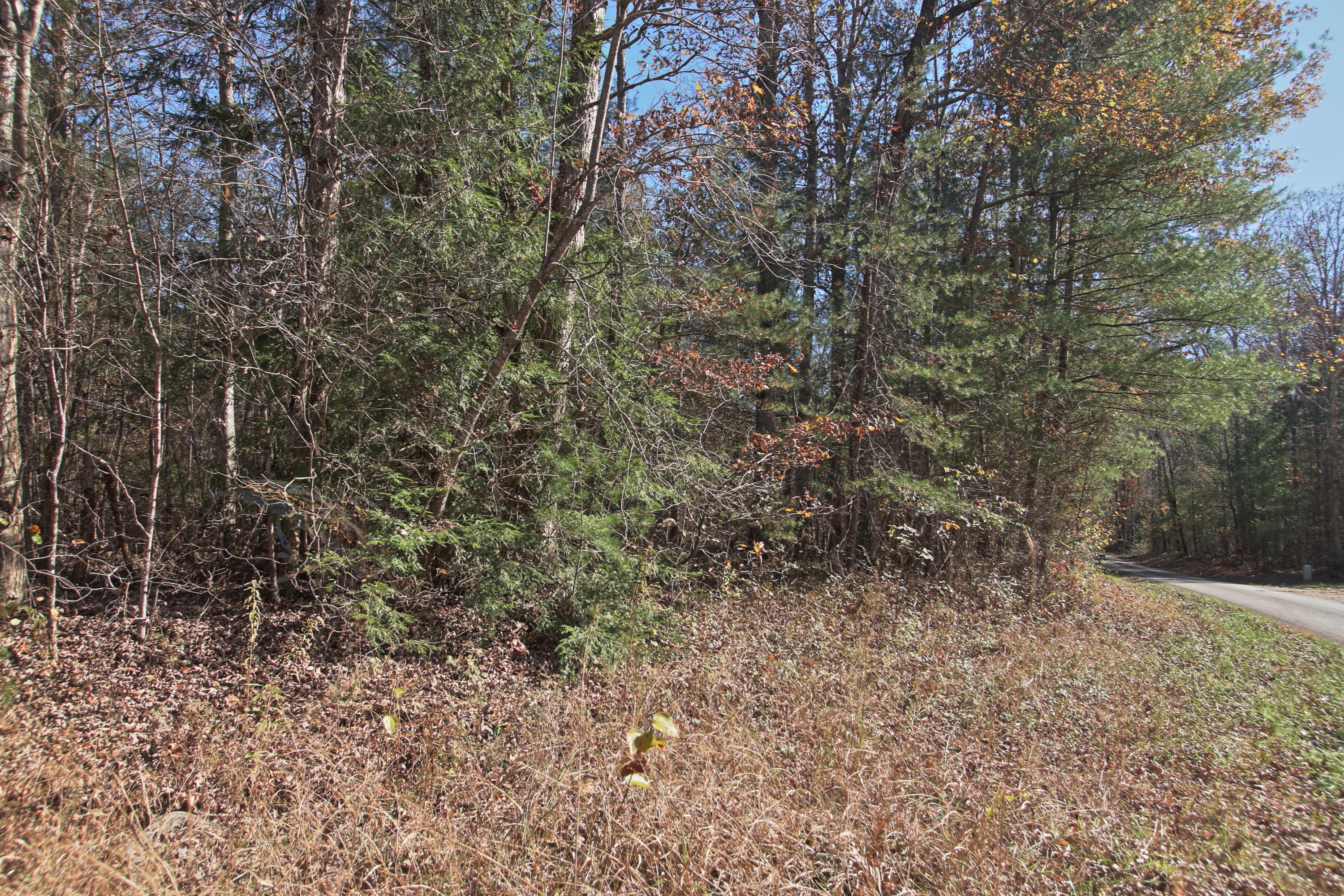 Lot 3 Cole Place Road Allardt, TN 38504 - Photo 5 of 7 lot 3 street view