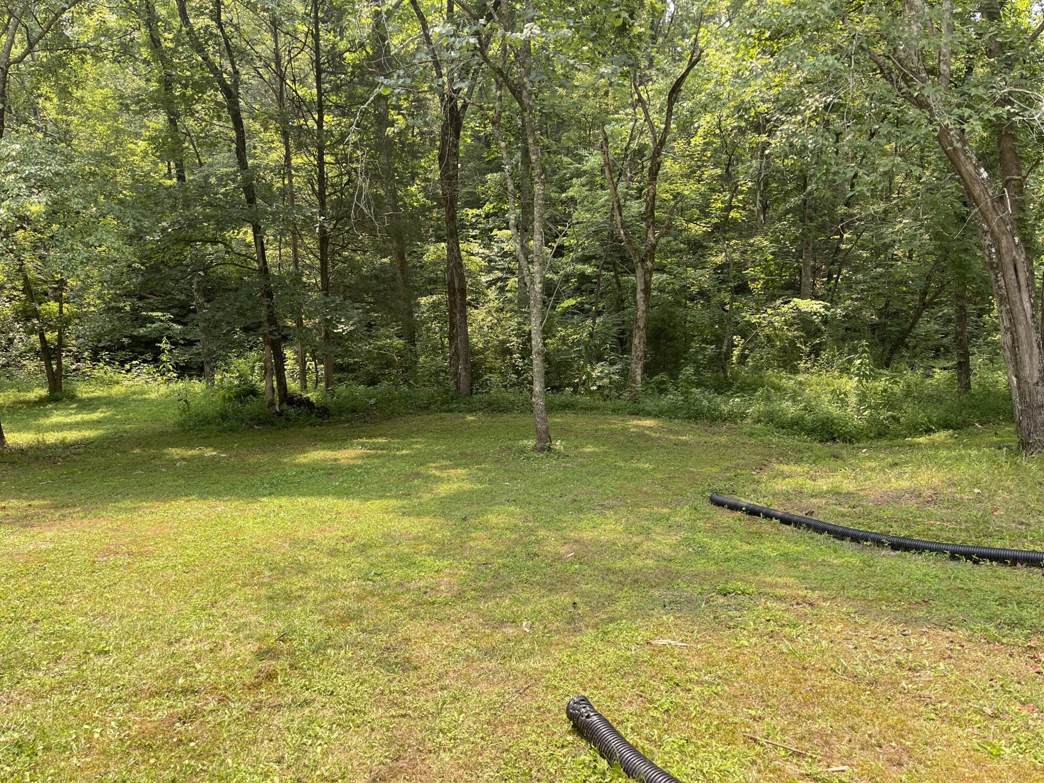 710 Gamble Gap Road Tellico Plains, TN 37385 - Photo 13 of 13 Gallery Image 13