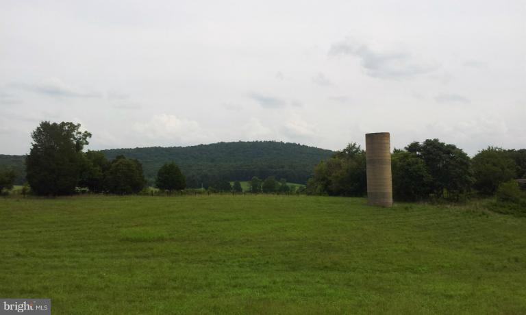 7516 Dudie Road Marshall, VA 20115 - Photo 3 of 11 a view of a grassy field with an trees