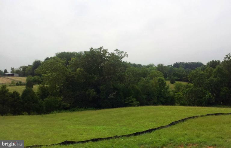 7516 Dudie Road Marshall, VA 20115 - Photo 6 of 11 a view of a grassy field with trees