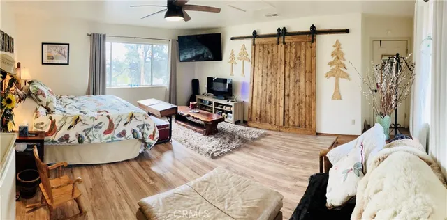 a view of a park with large trees