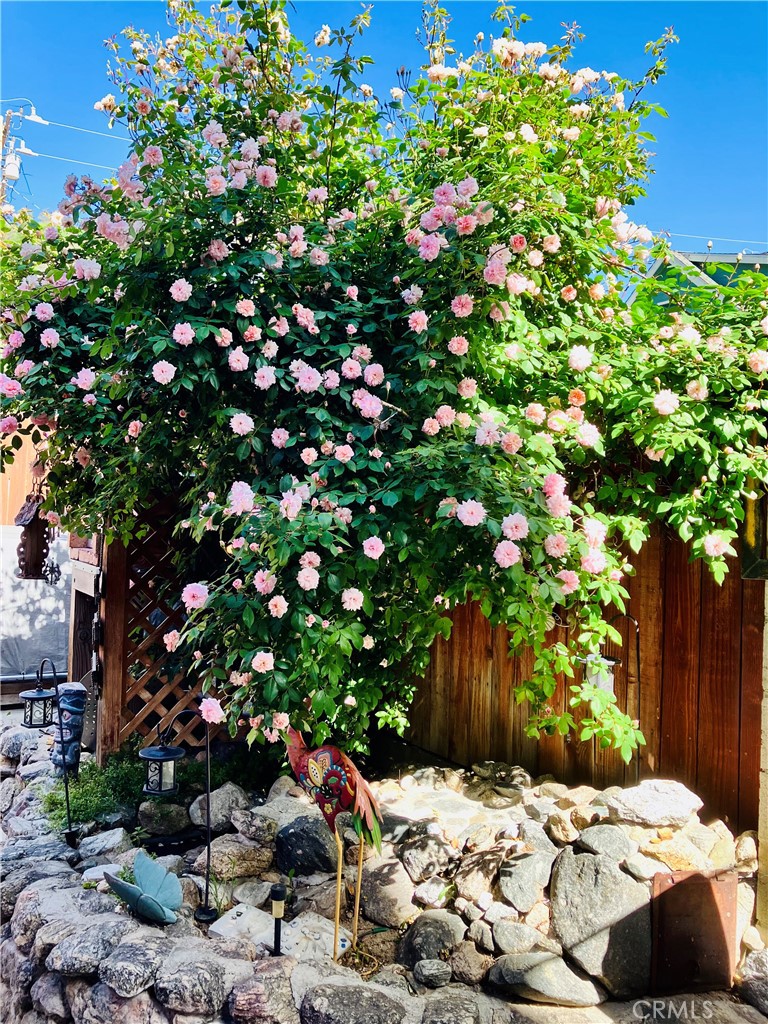 921 Piru Way Frazier Park, CA 93225 - Photo 42 of 54