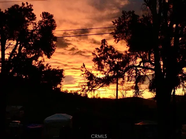 a view of a park with large trees
