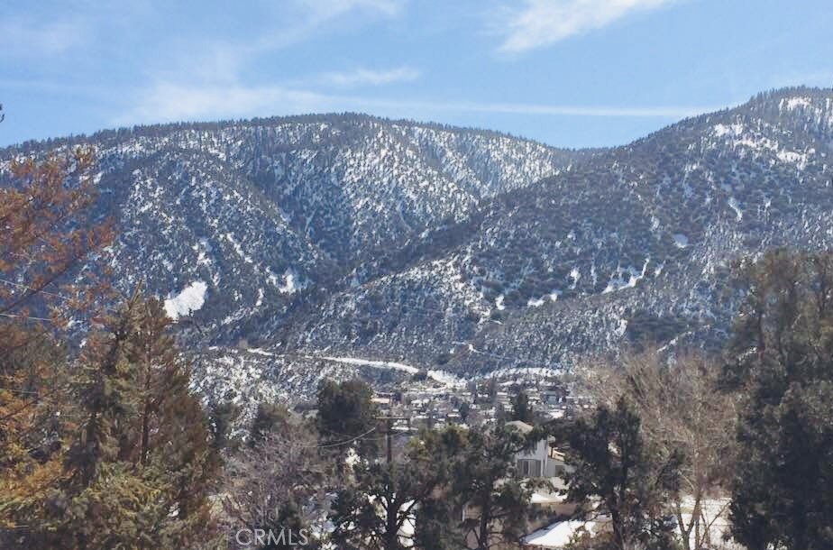 921 Piru Way Frazier Park, CA 93225 - Photo 45 of 54 a view of a dry yard with lots of trees