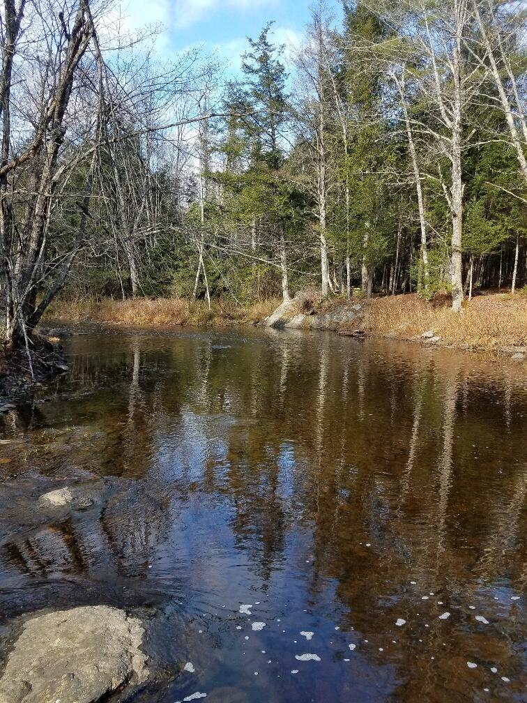 780 Jackson Road Monroe, ME 04951 - Photo 45 of 63 20171107_100606_resized