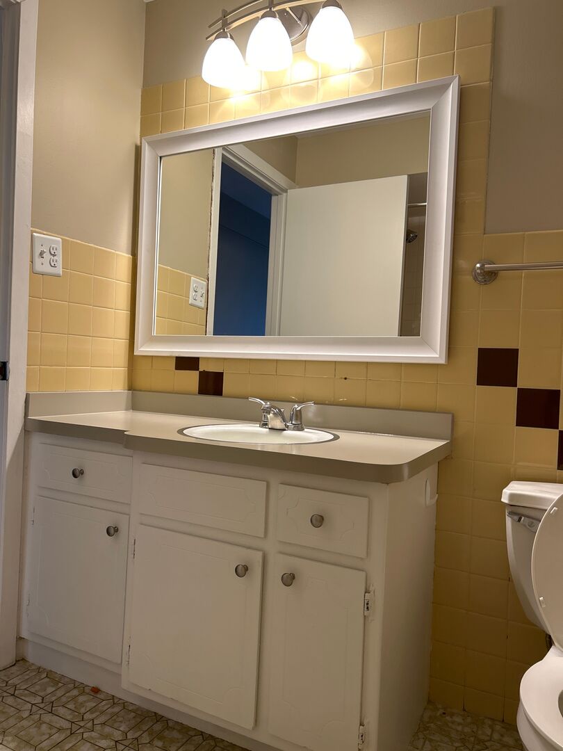 6742 West 63rd Street, Unit 1 Chicago, IL 60638 - Photo 15 of 21 a bathroom with a sink a toilet and mirror