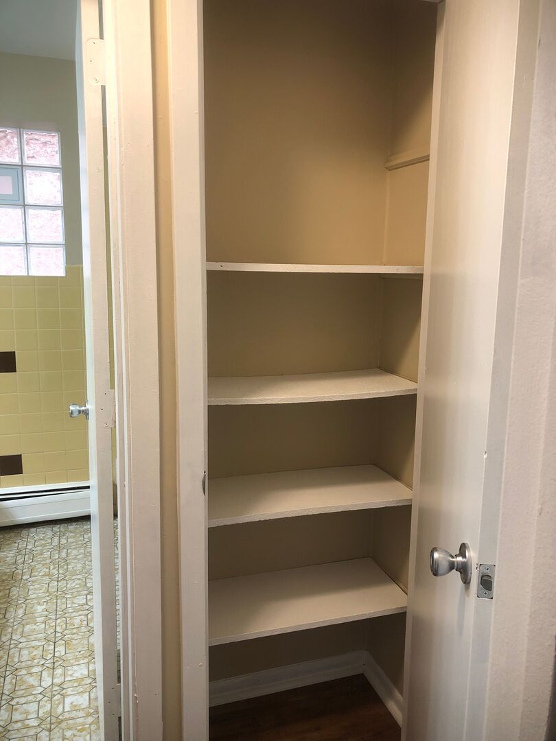 6742 West 63rd Street, Unit 1 Chicago, IL 60638 - Photo 18 of 21 a view of walk in closet with empty racks