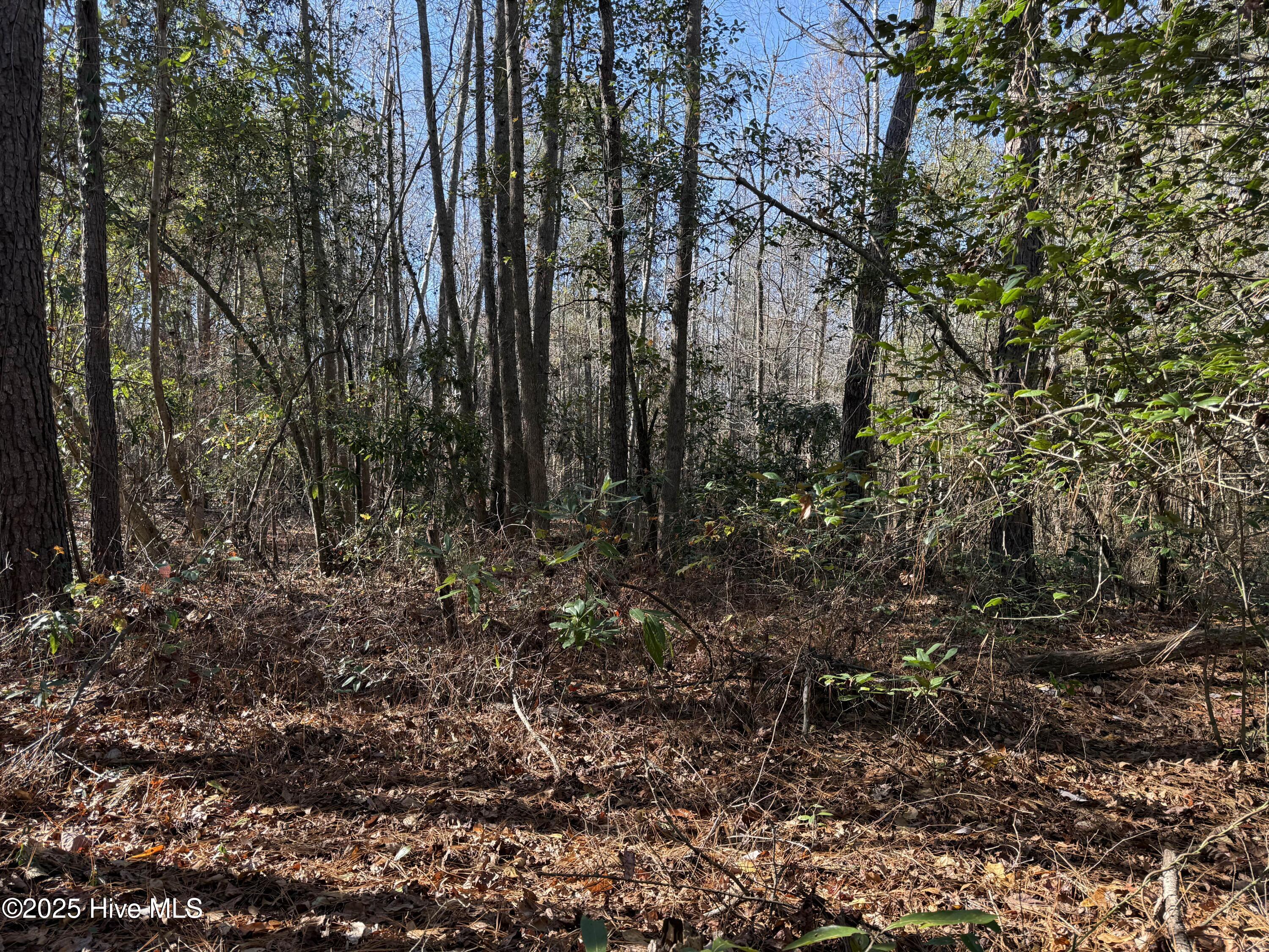 0 Macedonia Church Road Evergreen, NC 28438 - Photo 22 of 34 Image 22