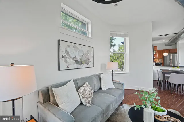 a living room with furniture and a potted plant