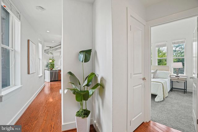 a living room with furniture potted plant and a window
