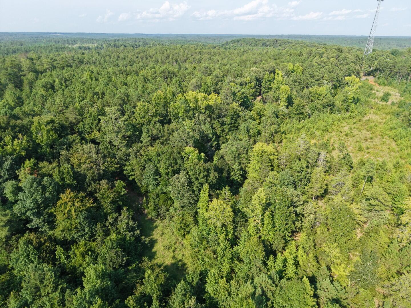 3096 State Rd S-20-33, Unit 2 Blair, SC 29015 - Photo 12 of 32 DJI_20260811171105_0270_D (Large)