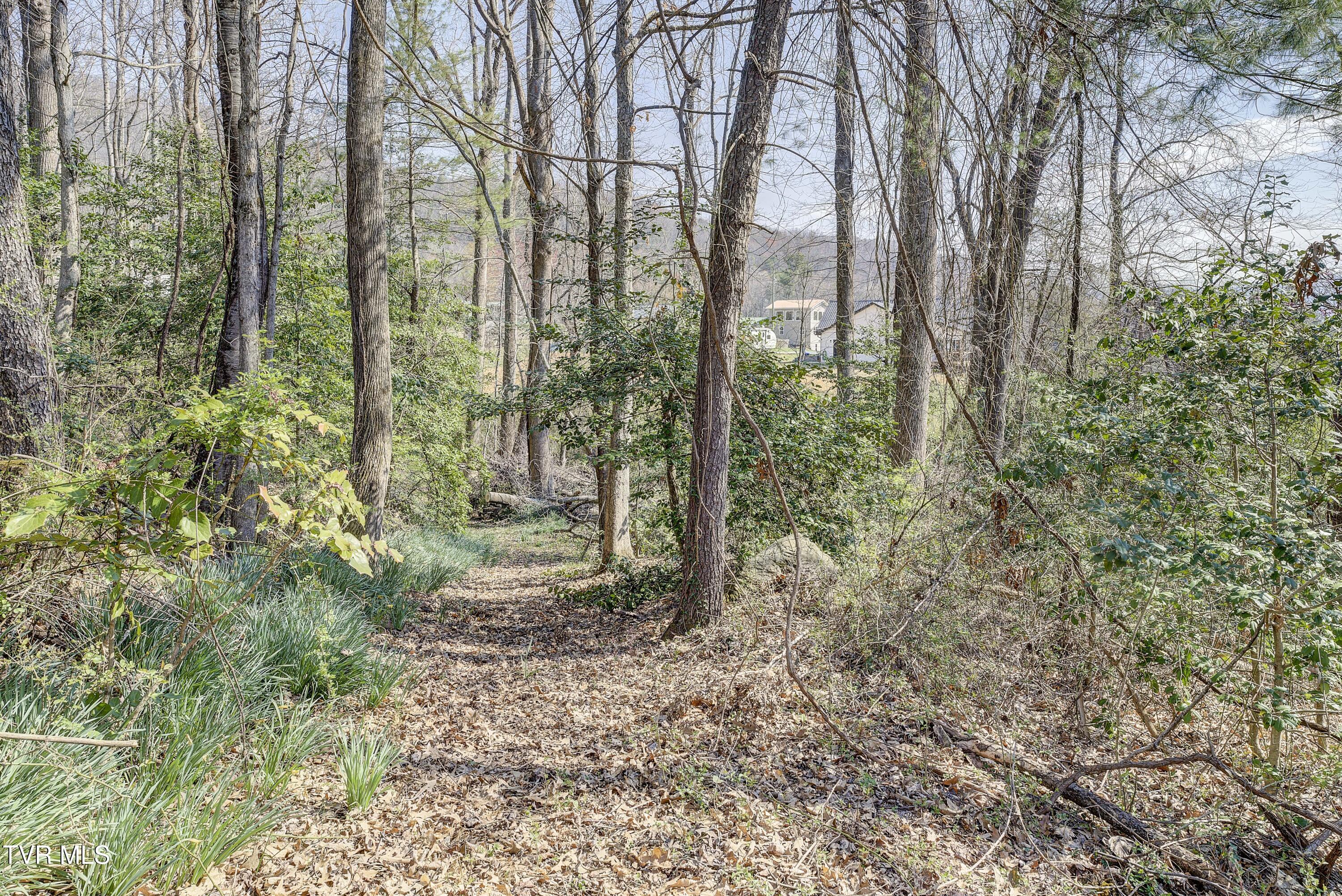 143 Zeb Grindstaff Road Elizabethton, TN 37643 - Photo 45 of 47 IMG_0063
