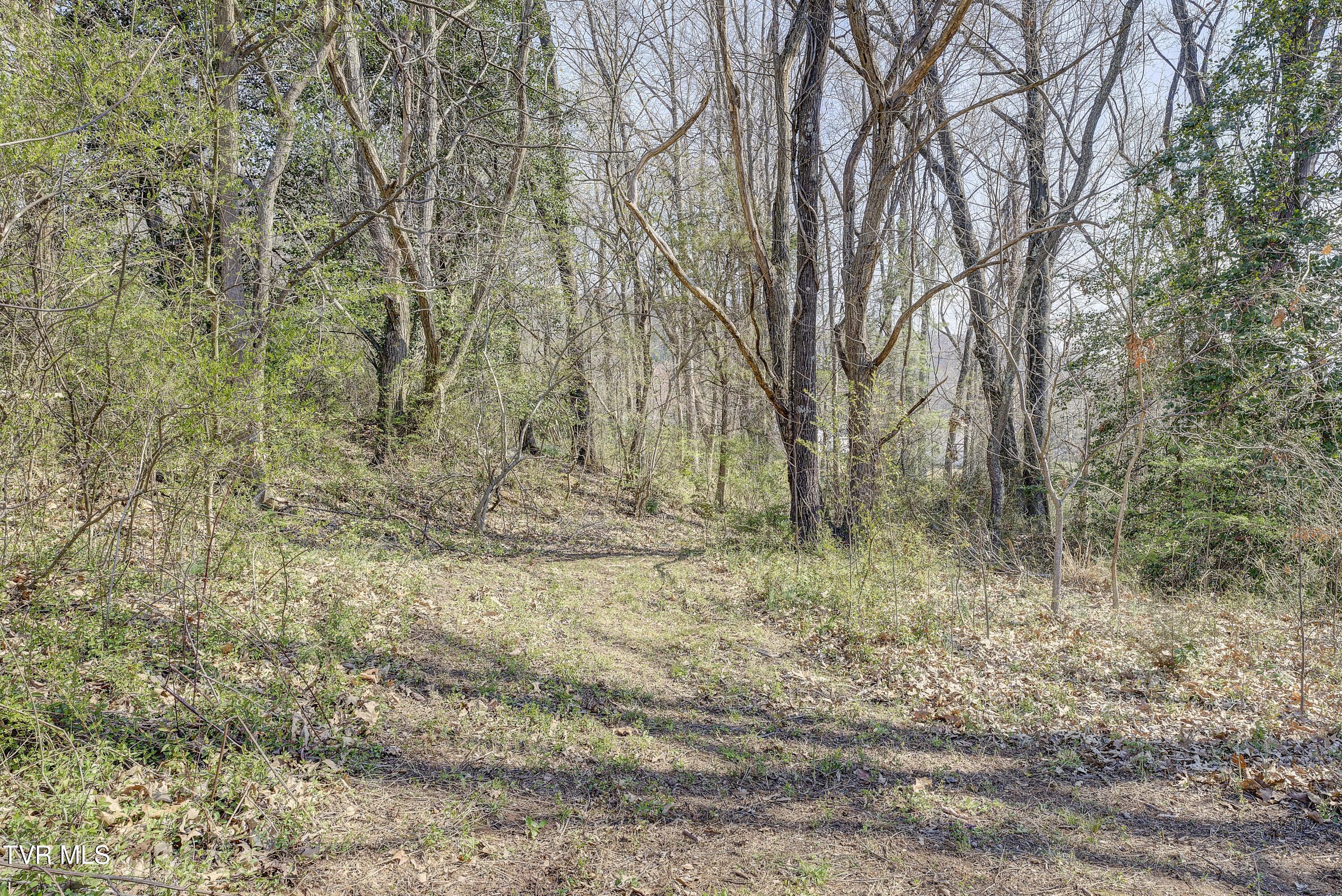 143 Zeb Grindstaff Road Elizabethton, TN 37643 - Photo 46 of 47 IMG_0062