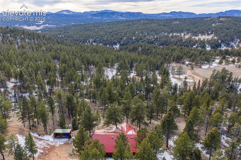 1910 Wildhorn Road Florissant, CO 80816 - Photo 44 of 49