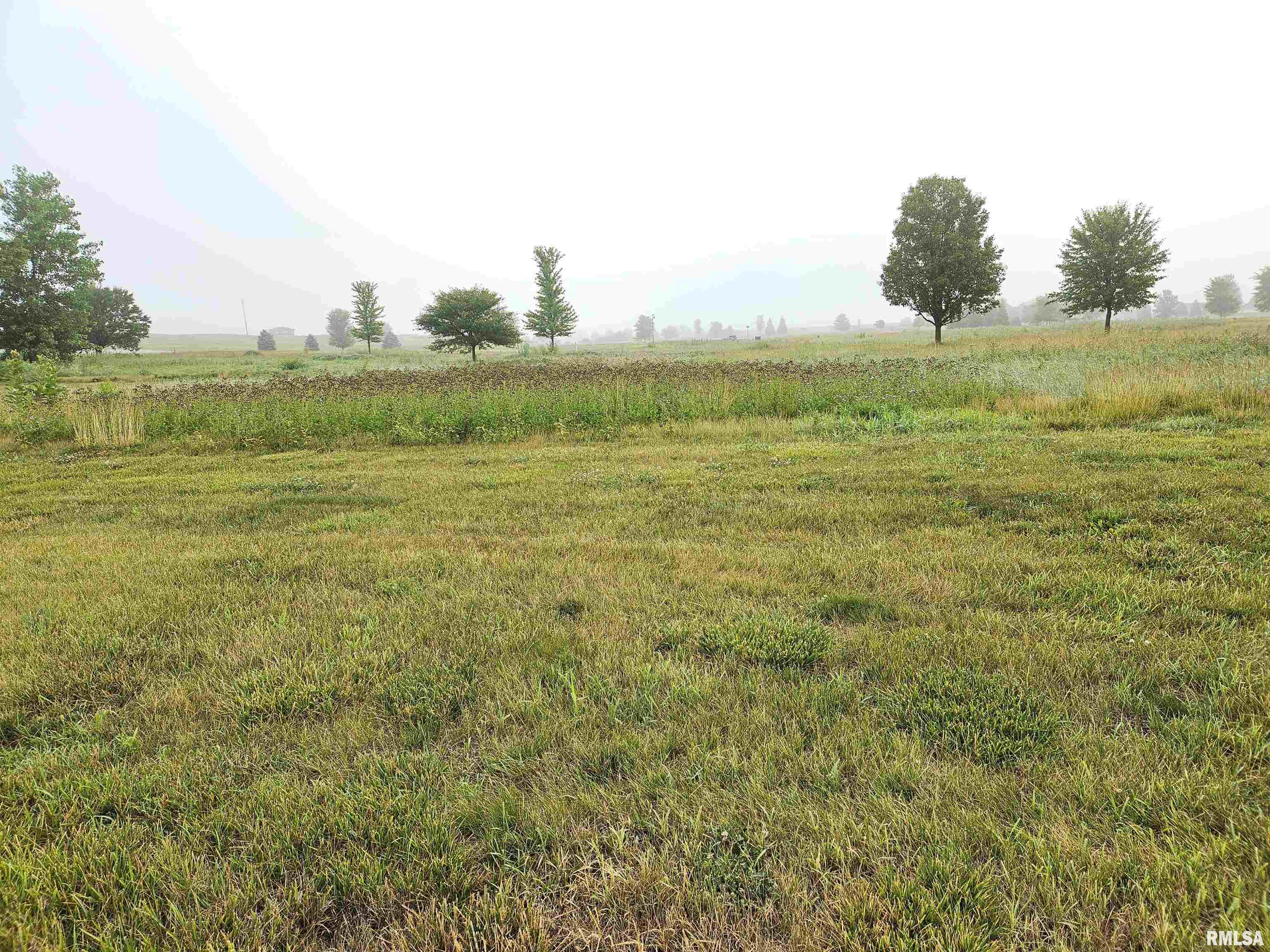 1002 Ring Drive Metamora, IL 61548 - Photo 1 of 2