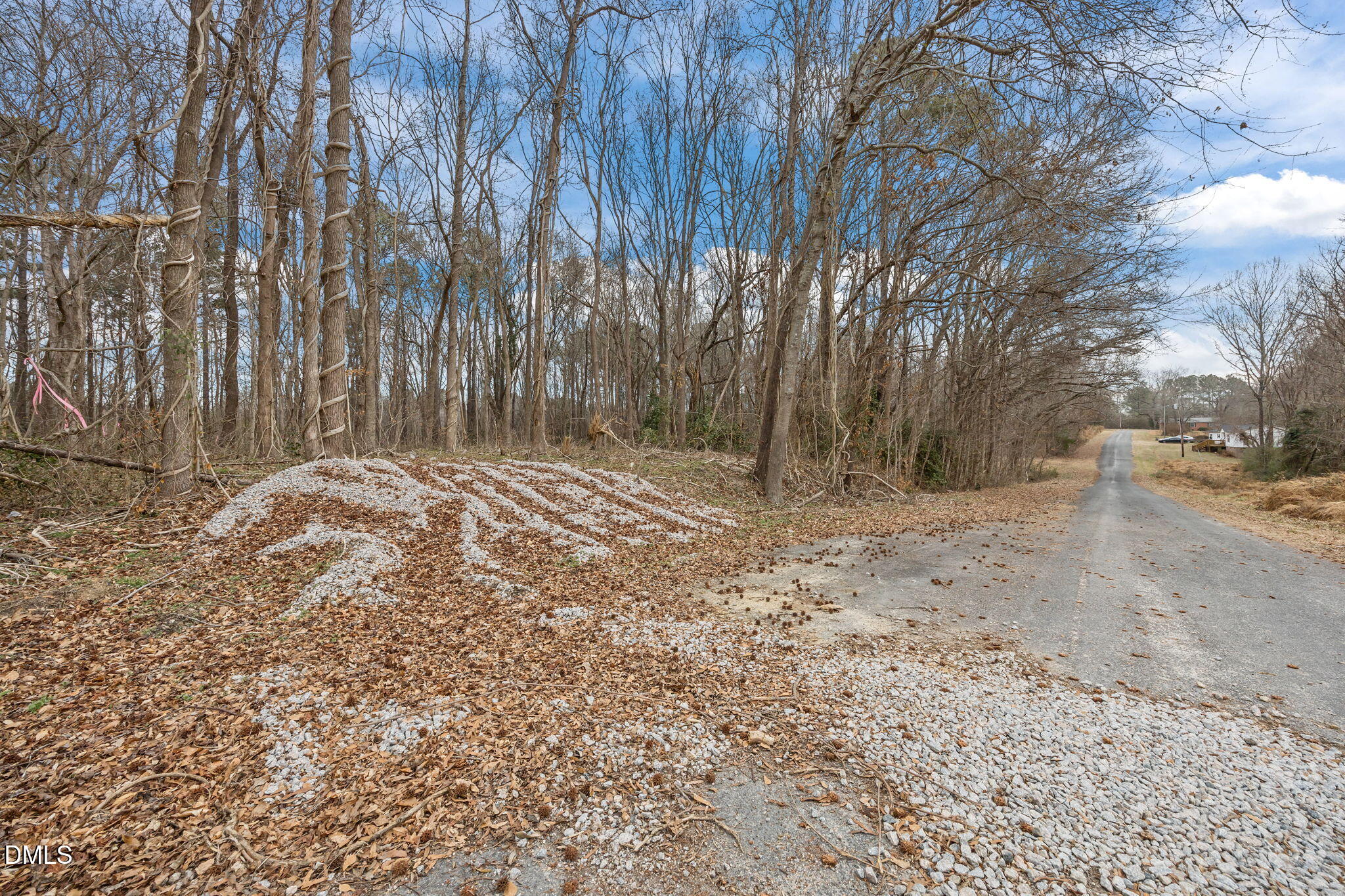 0 West Chavis Road Kittrell, NC 27544 - Photo 16 of 17 a view of dirt yard with a large tree