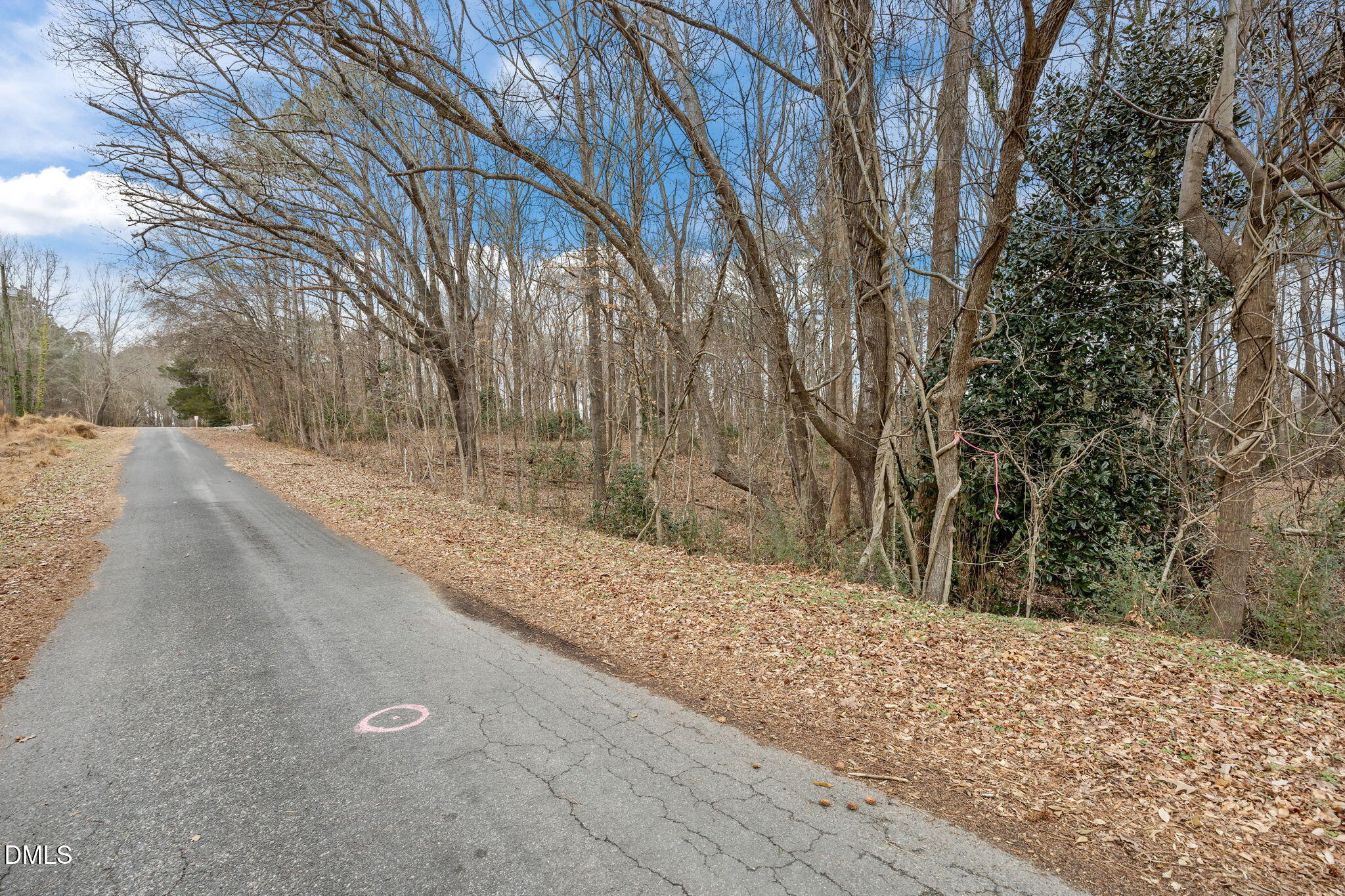 0 West Chavis Road Kittrell, NC 27544 - Photo 17 of 17 a view of a yard covered with snow in front of house