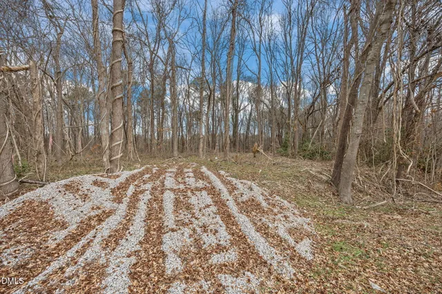 a view of a dry yard with trees