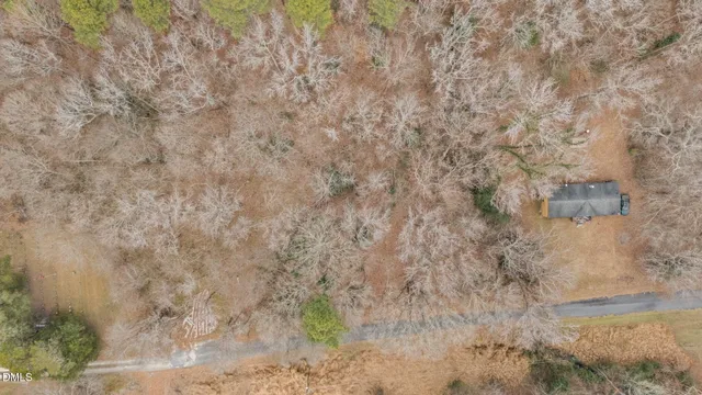 a view of a dry yard