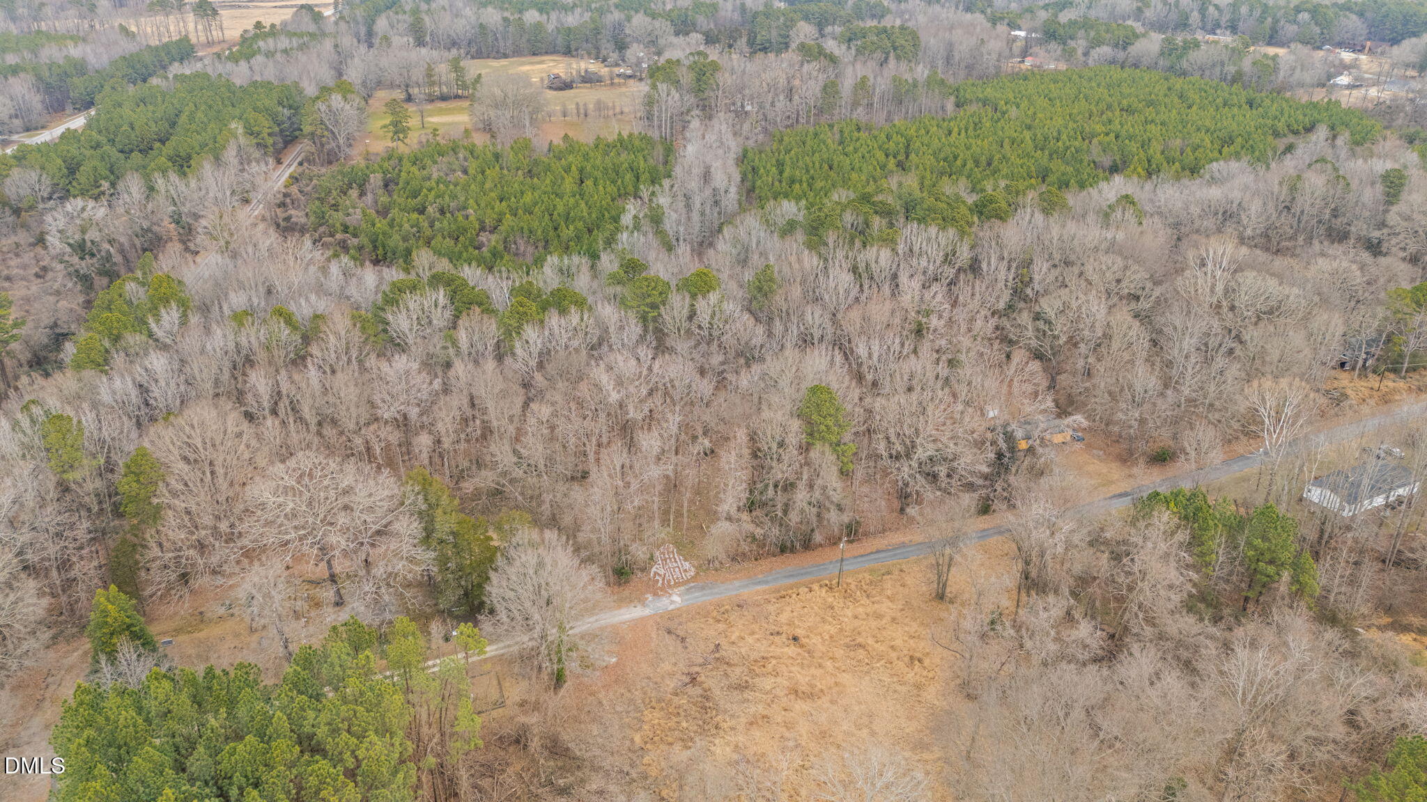 0 West Chavis Road Kittrell, NC 27544 - Photo 10 of 17 a view of a dry yard covered with trees