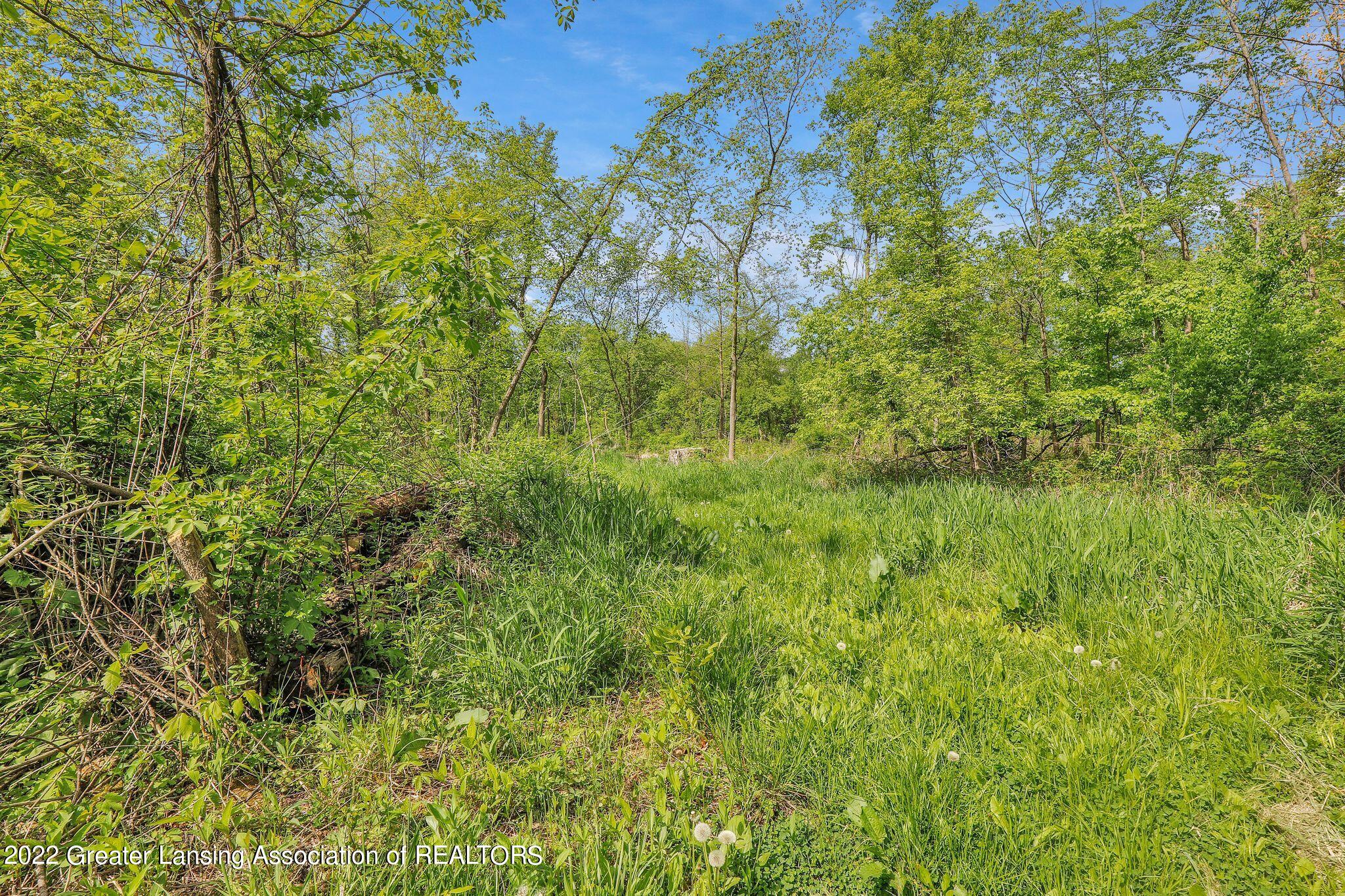 3020 Stillson Road Stockbridge, MI 49285 - Photo 5 of 51 3