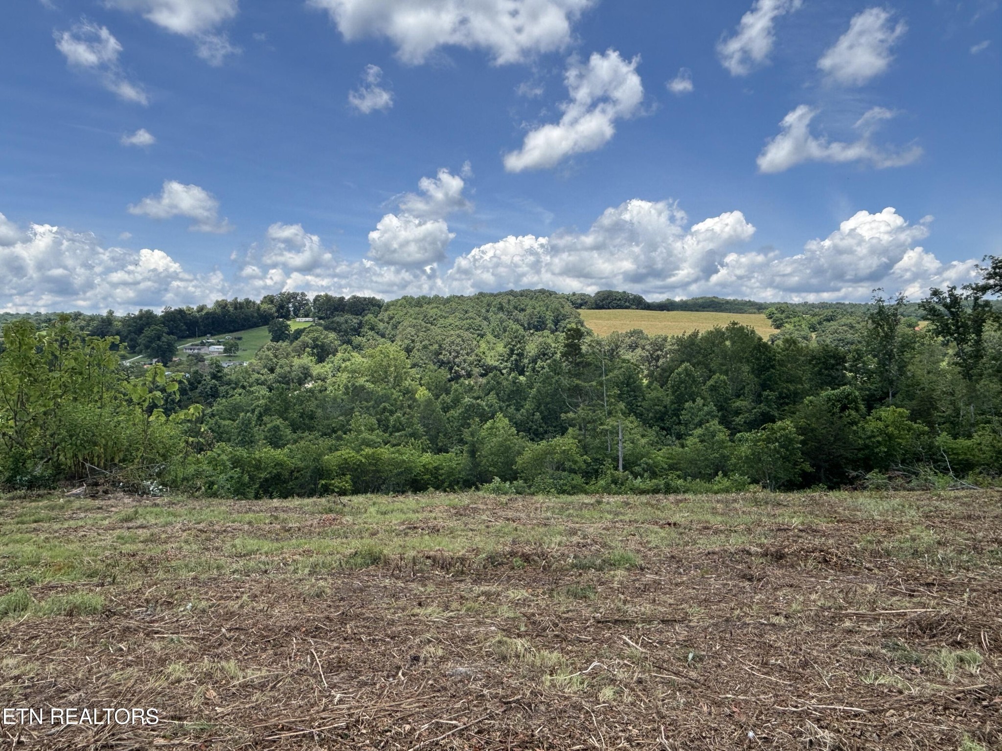 626 Sportsman Road Andersonville, TN 37705 - Photo 11 of 28 Gallery Image 11