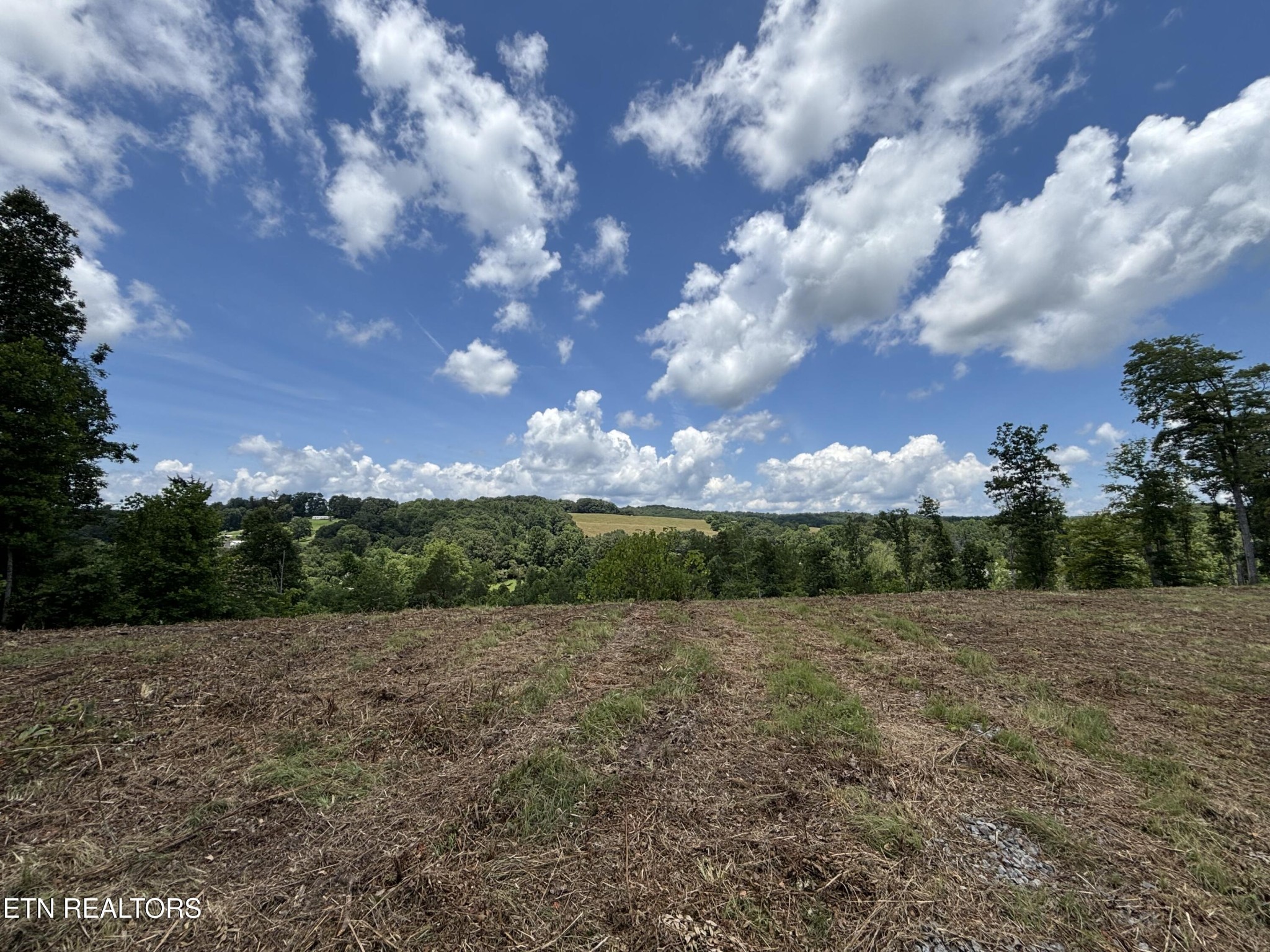 626 Sportsman Road Andersonville, TN 37705 - Photo 12 of 28 Gallery Image 12