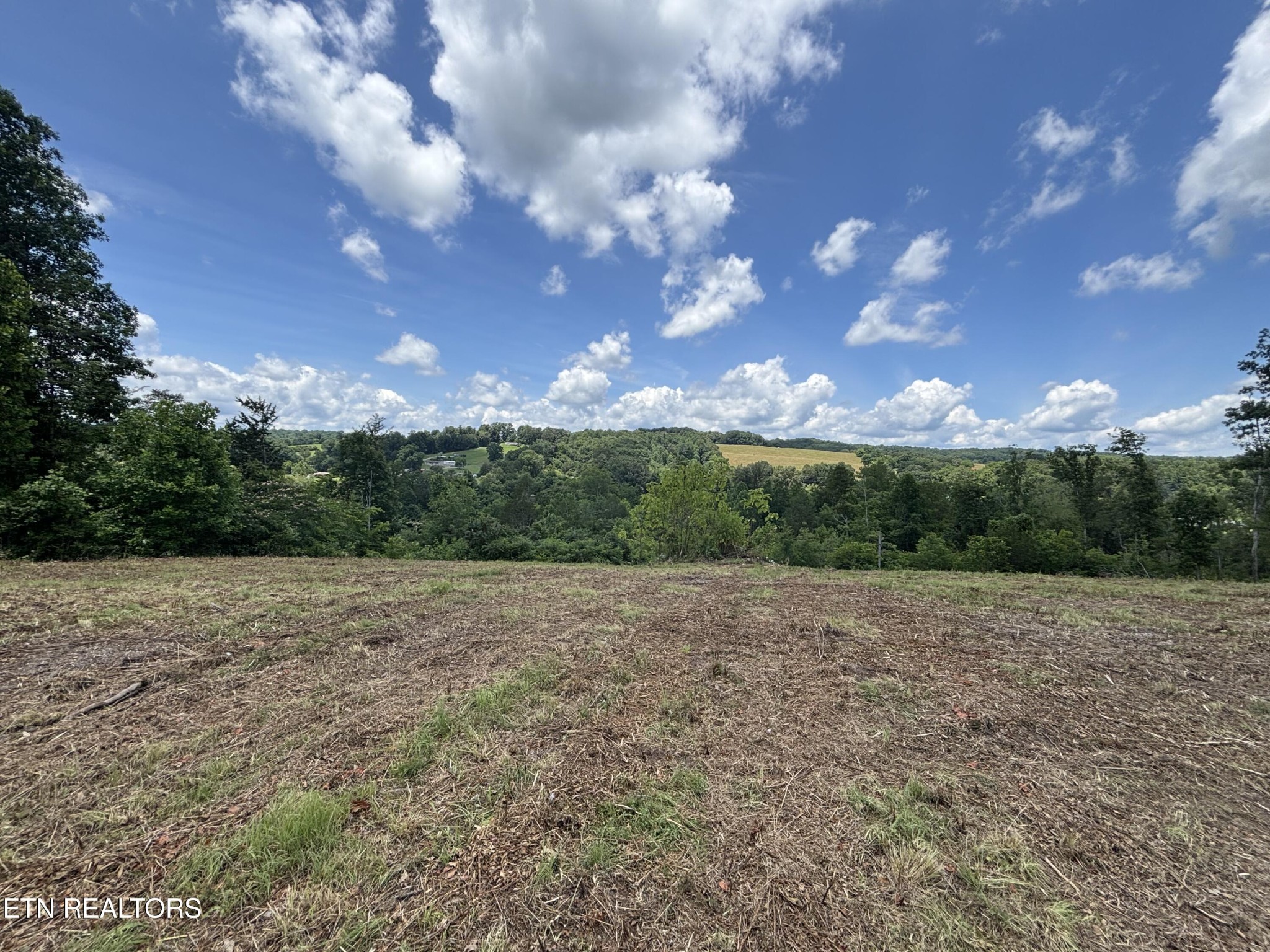 626 Sportsman Road Andersonville, TN 37705 - Photo 13 of 28 Gallery Image 13