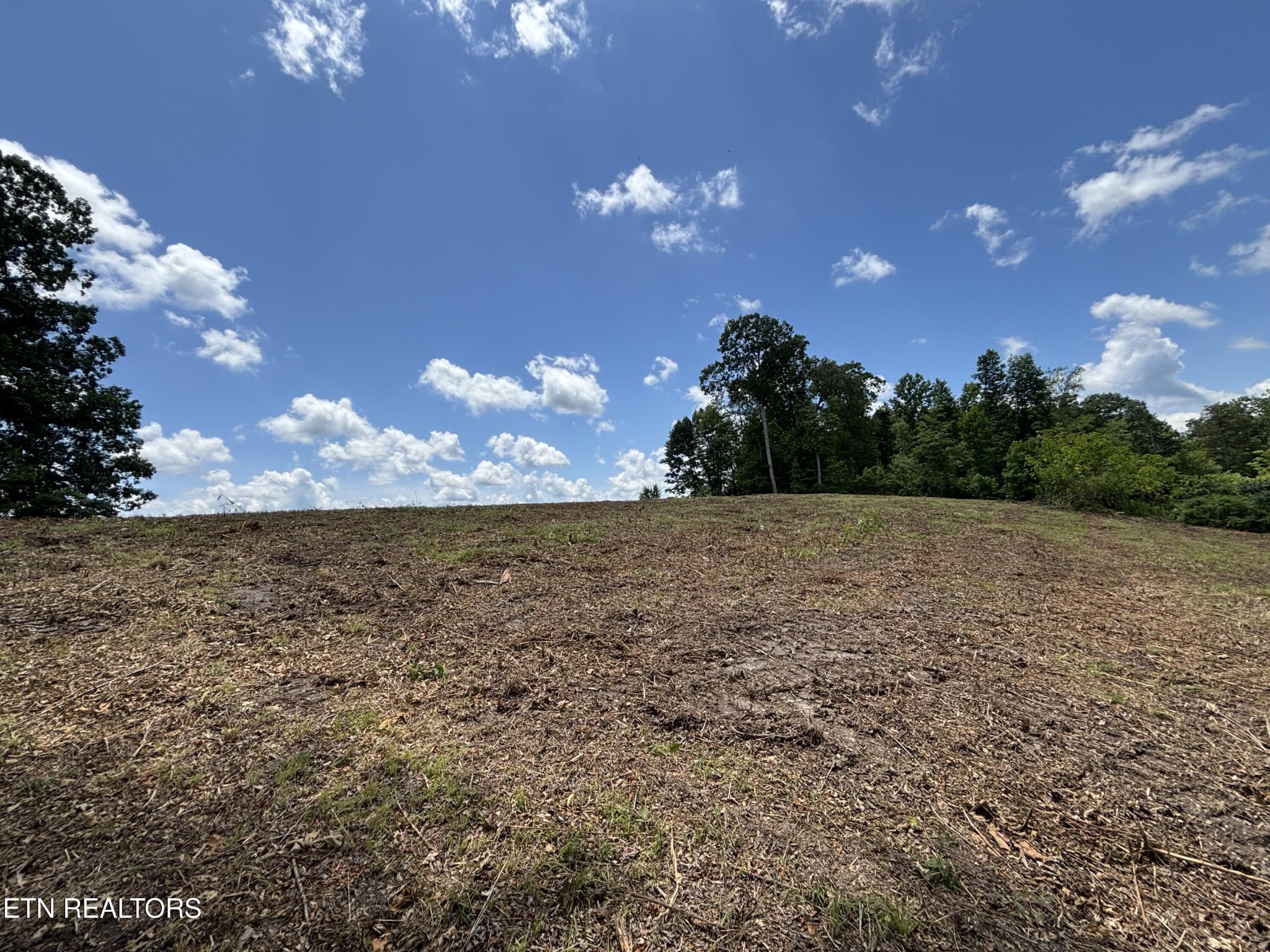 626 Sportsman Road Andersonville, TN 37705 - Photo 18 of 28 Gallery Image 18