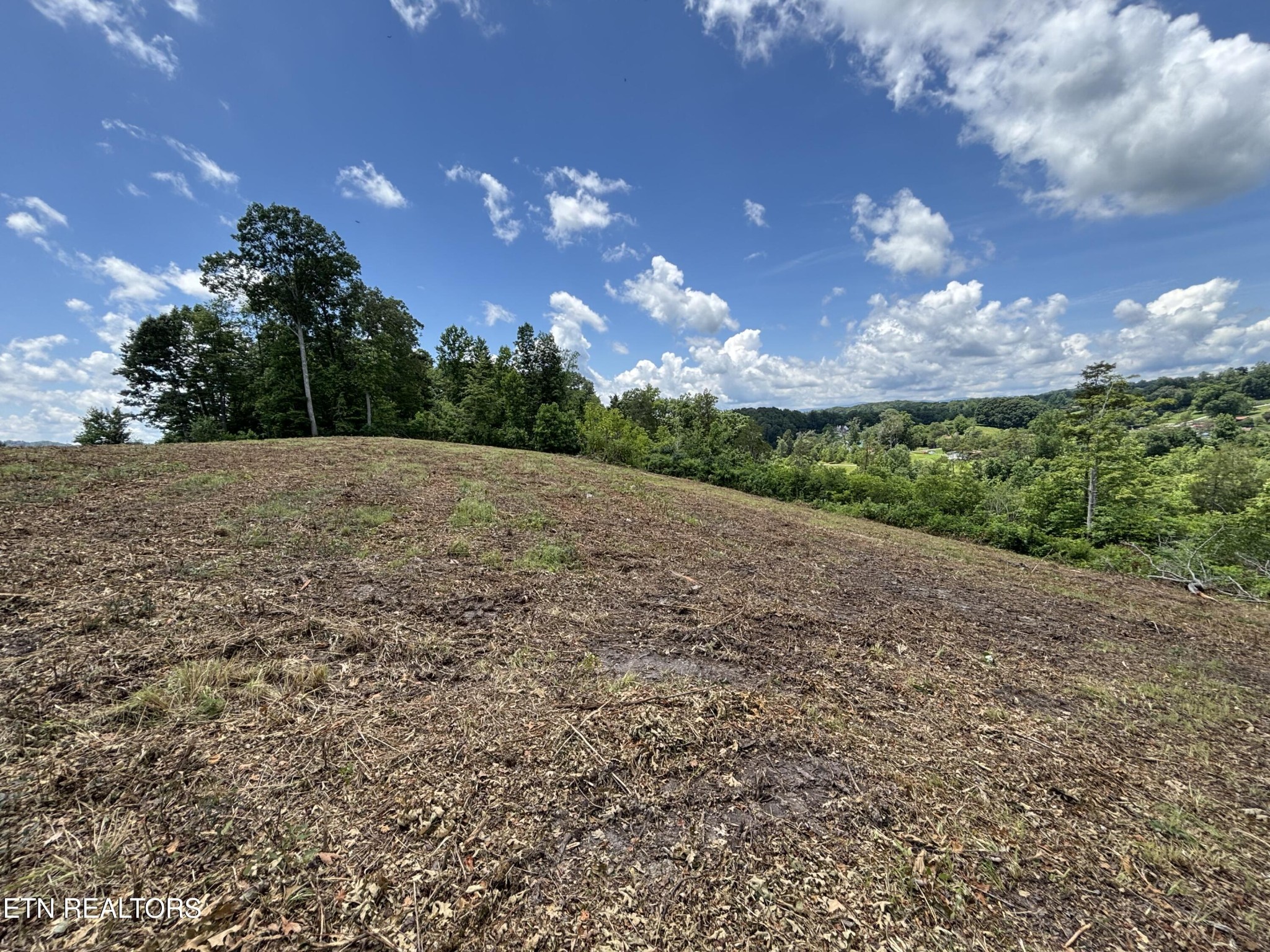 626 Sportsman Road Andersonville, TN 37705 - Photo 19 of 28 Gallery Image 19