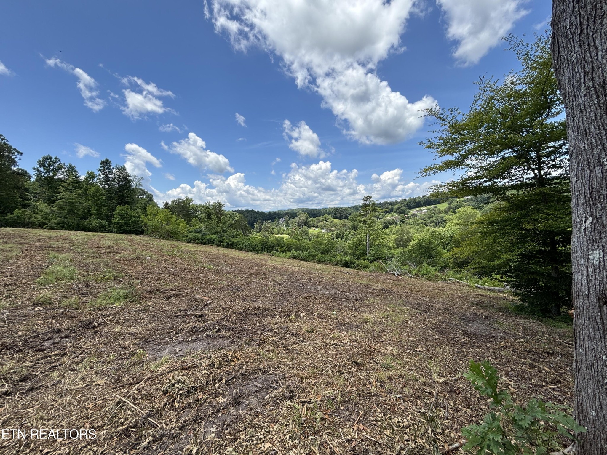 626 Sportsman Road Andersonville, TN 37705 - Photo 20 of 28 Gallery Image 20