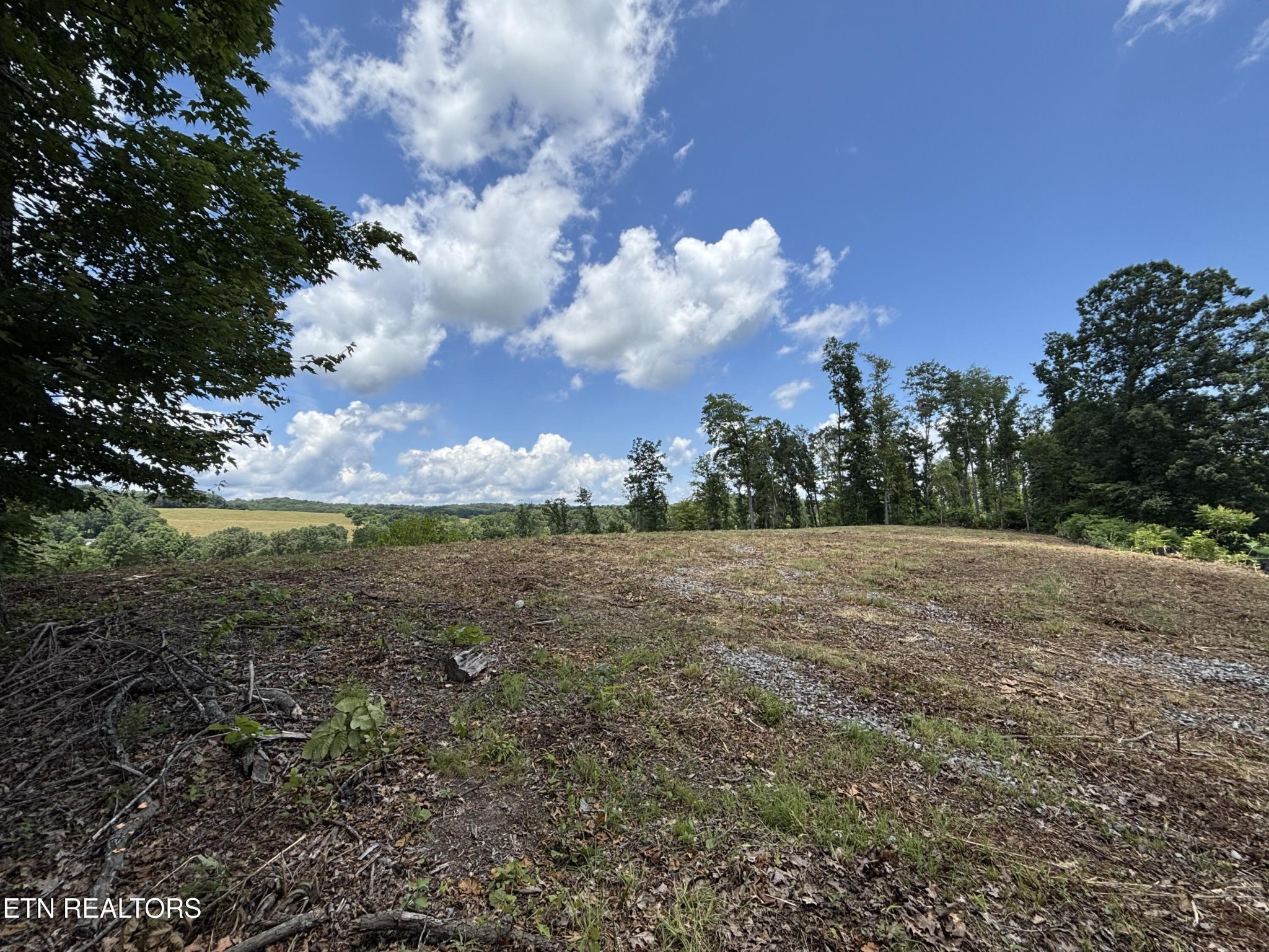 626 Sportsman Road Andersonville, TN 37705 - Photo 2 of 28 Gallery Image 2