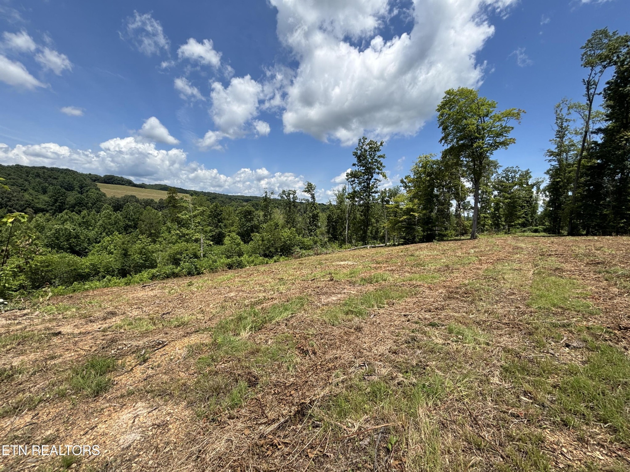 626 Sportsman Road Andersonville, TN 37705 - Photo 4 of 28 Gallery Image 4