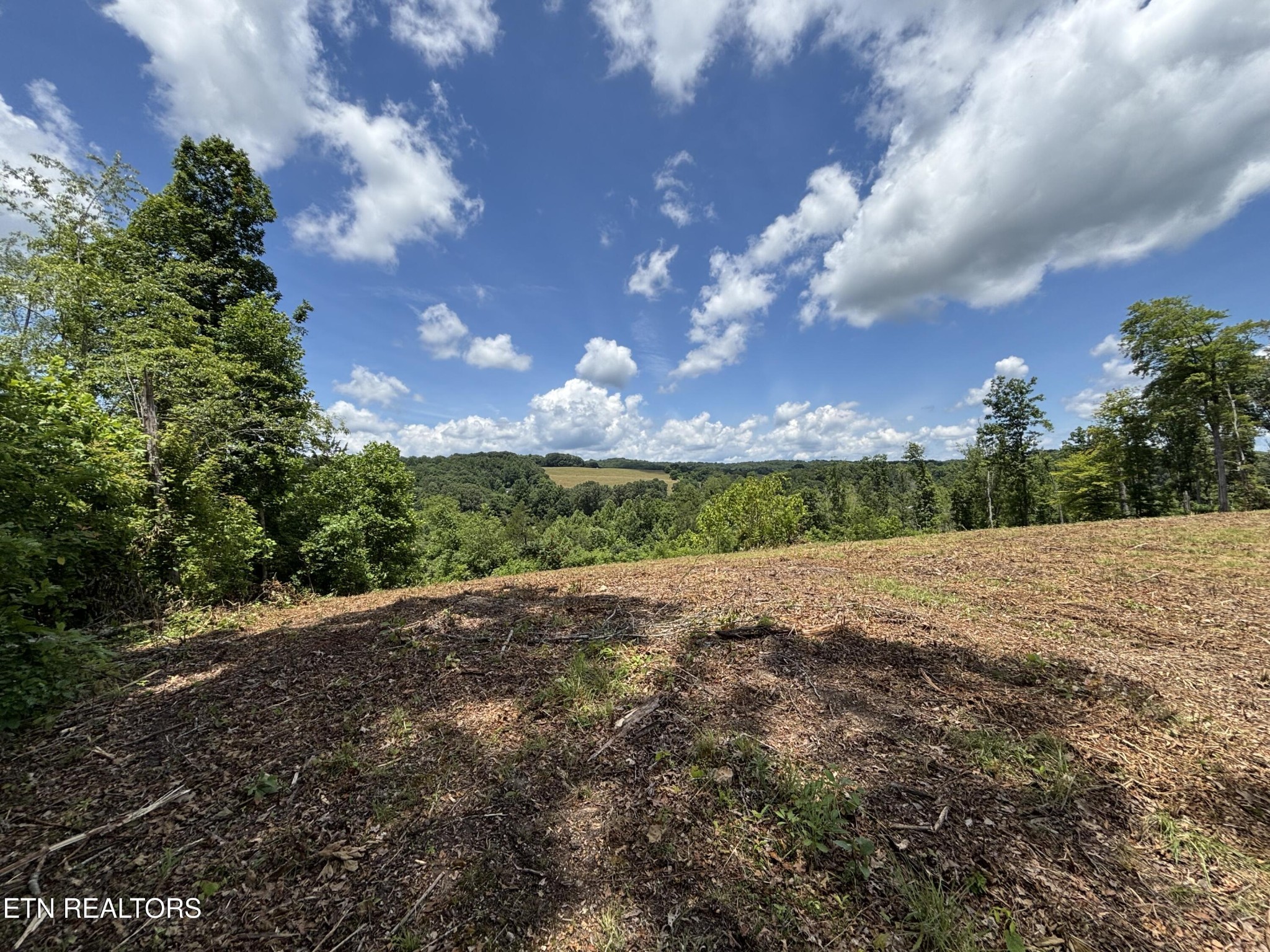 626 Sportsman Road Andersonville, TN 37705 - Photo 6 of 28 Gallery Image 6