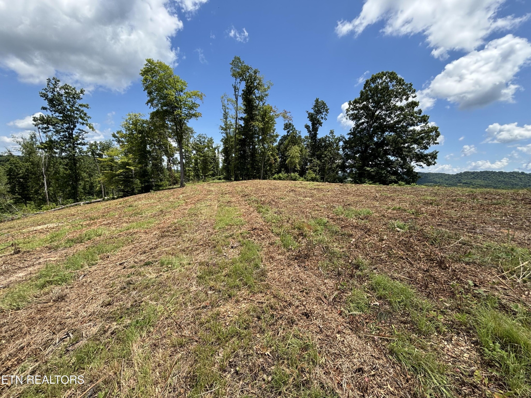 626 Sportsman Road Andersonville, TN 37705 - Photo 7 of 28 Gallery Image 7