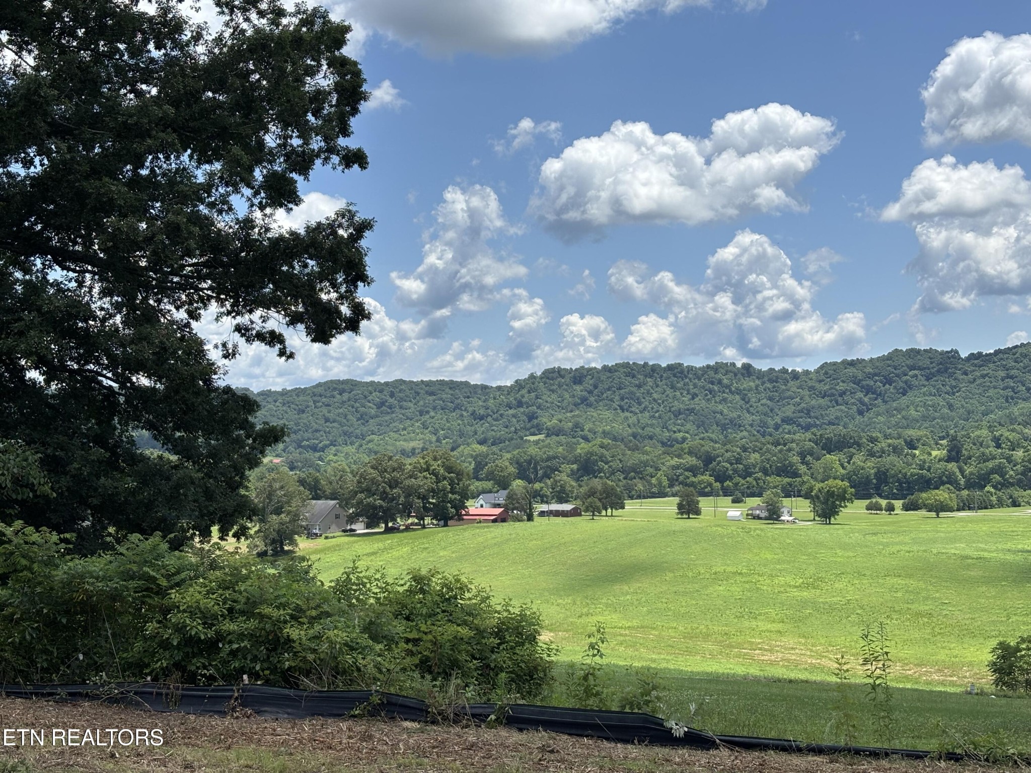 626 Sportsman Road Andersonville, TN 37705 - Photo 9 of 28 Gallery Image 9